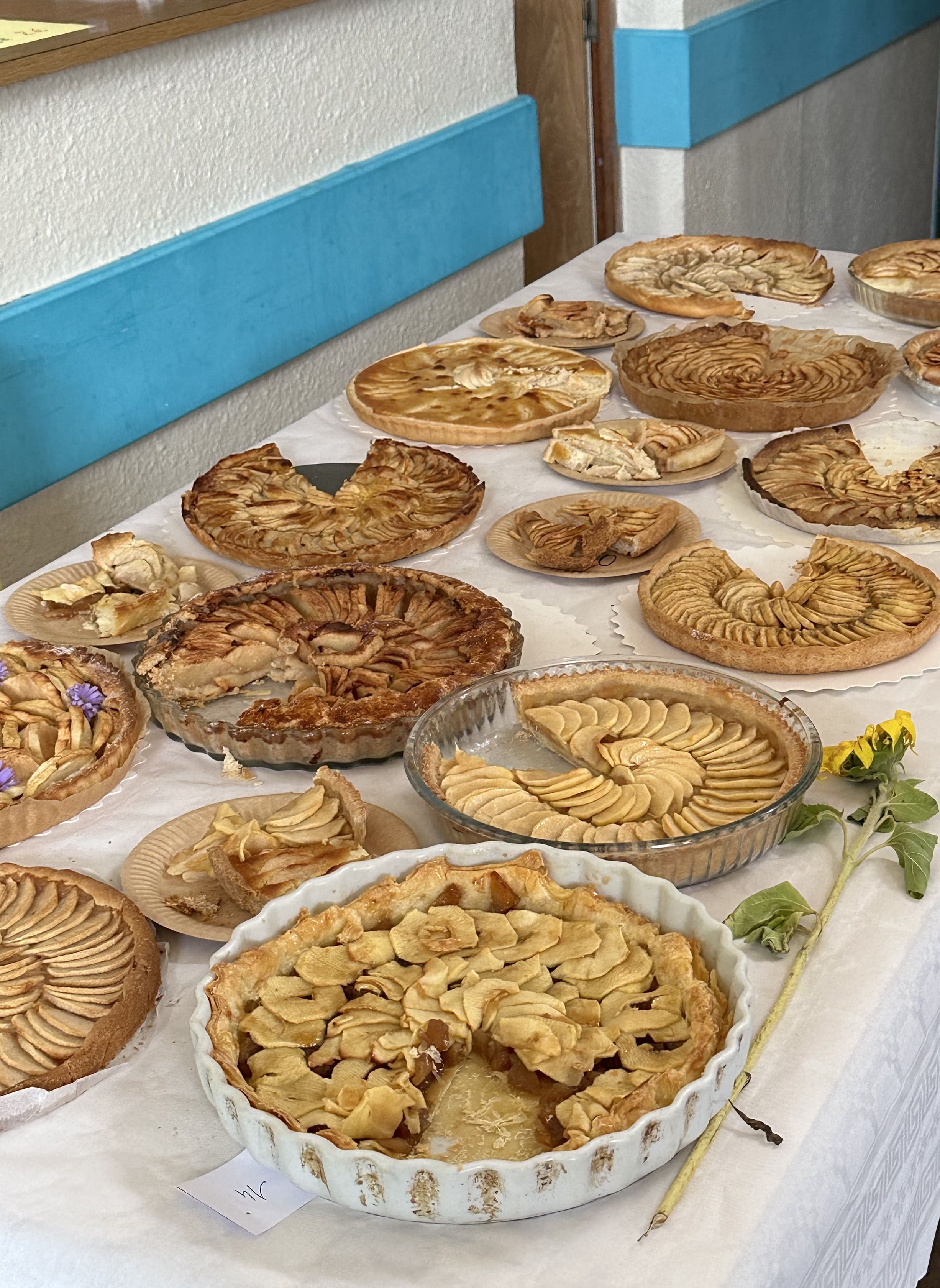 IMG 4225 rogné et compressé