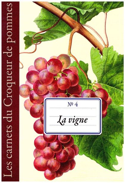 Couverture vigne