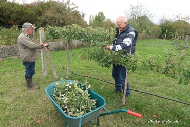 Taille vert Octobre 2019 04